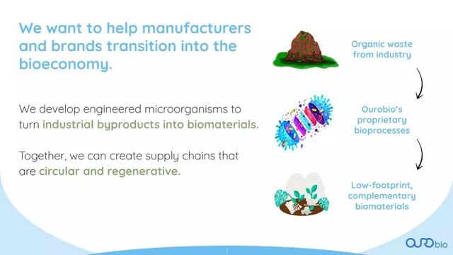 Vision slide 3 from Ourobio