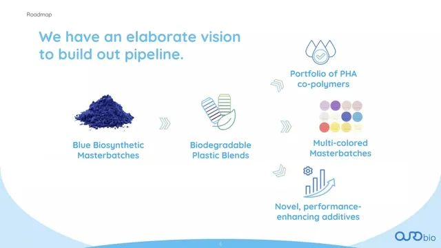 Roadmap slide 6 from Ourobio