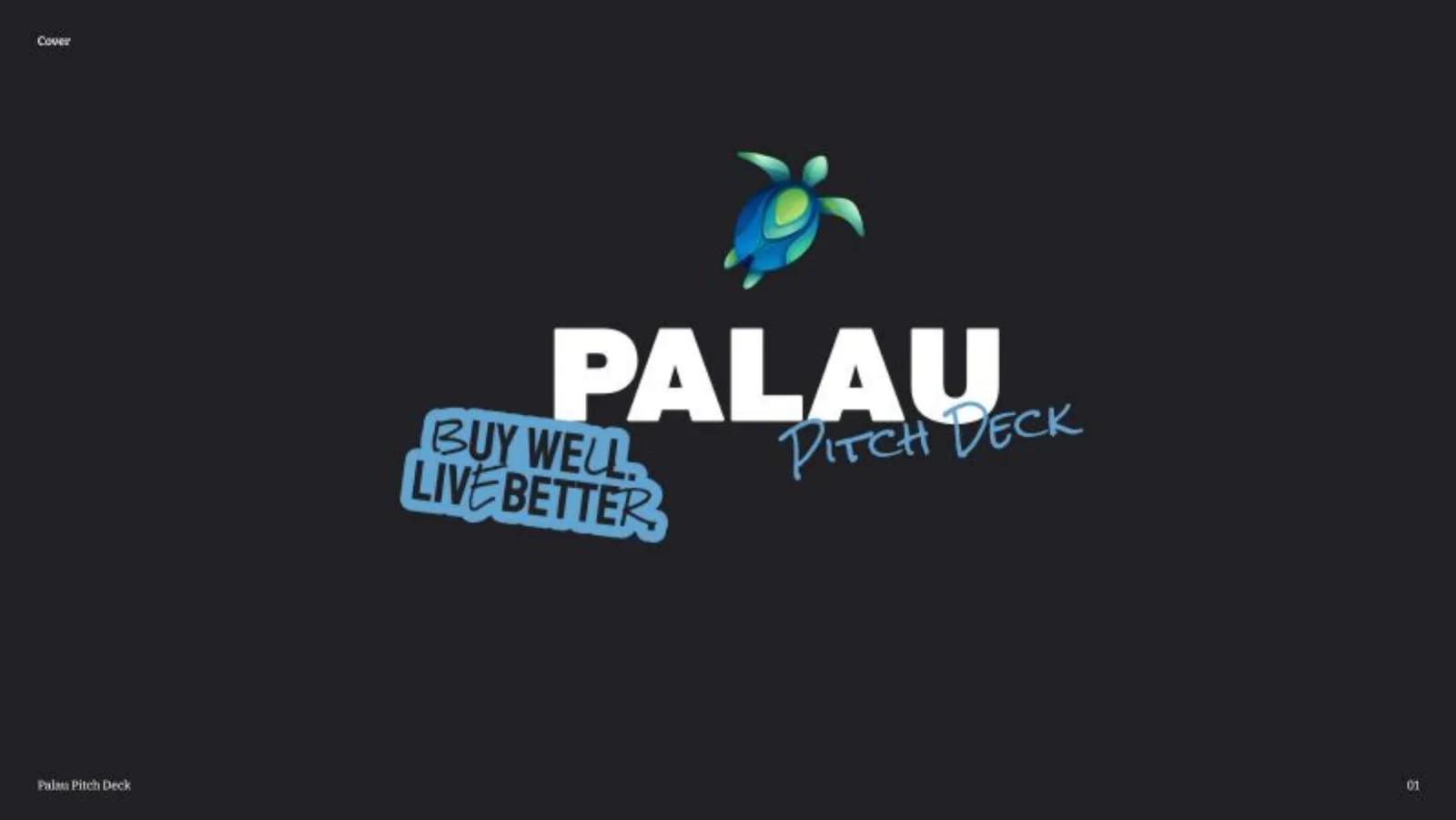 Palau Project pitch deck slide