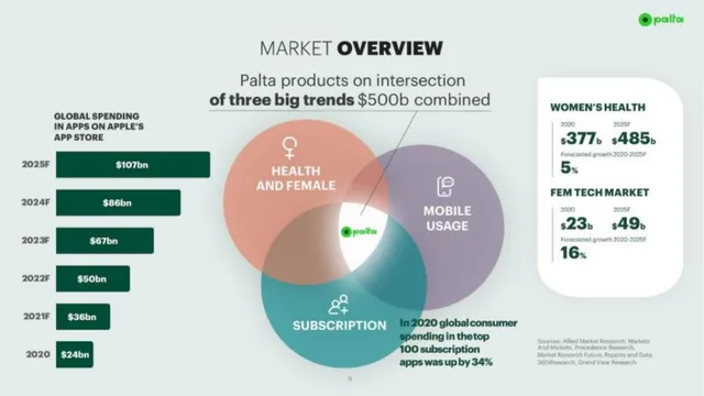 Market sizing / opportunity slide 6 from Palta