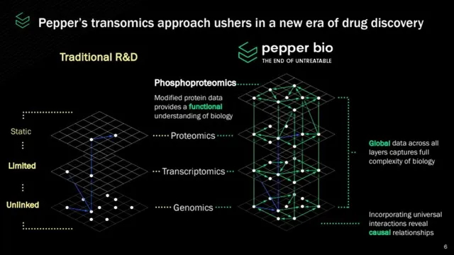 Technology slide 6 from Pepper Bio