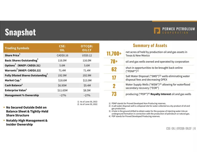 Financials slide 6 from Permex Petroleum Corporation