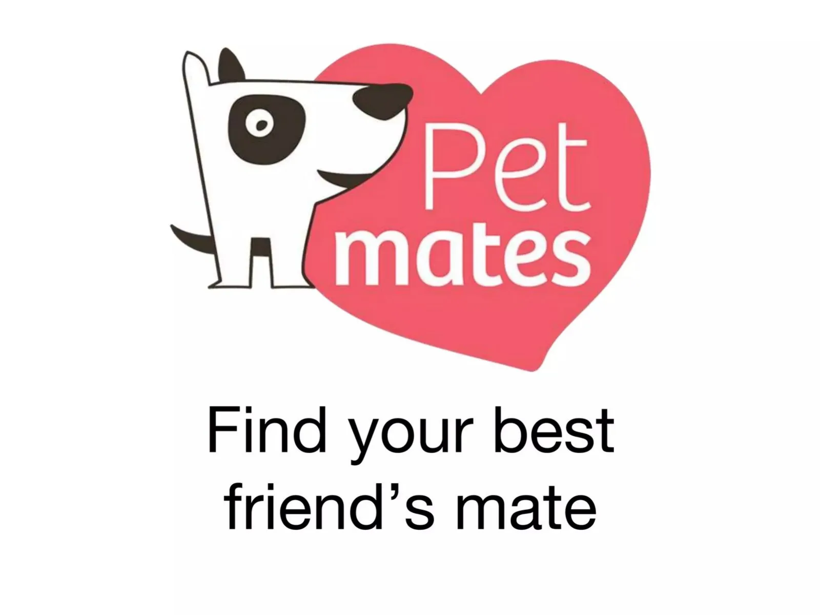 Pet Mates pitch deck slide