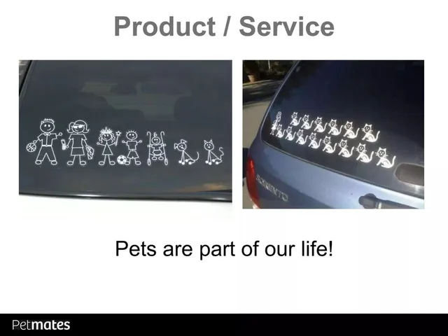 Product / solution slide 4 from PetMates