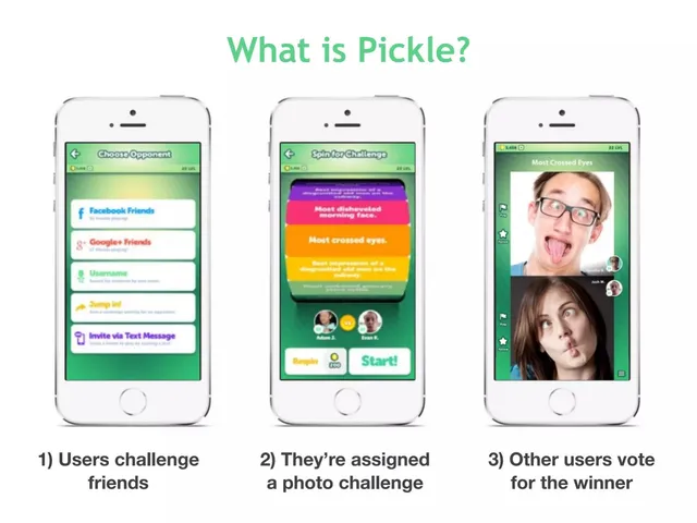 Product / solution slide 2 from Pickle