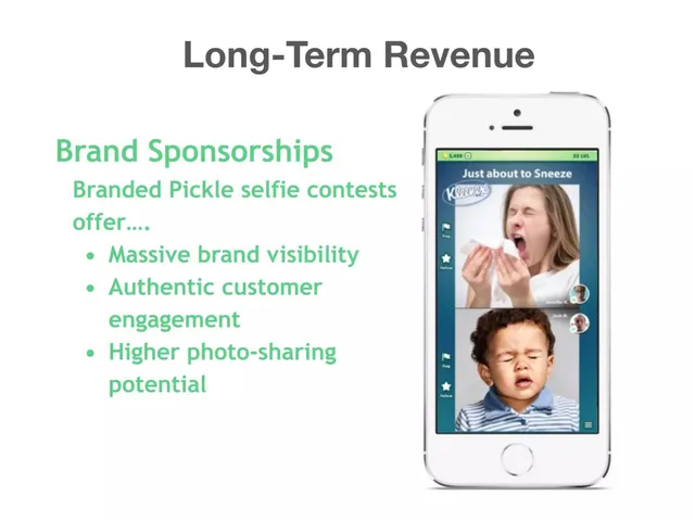 Business model / revenue streams slide 6 from Pickle