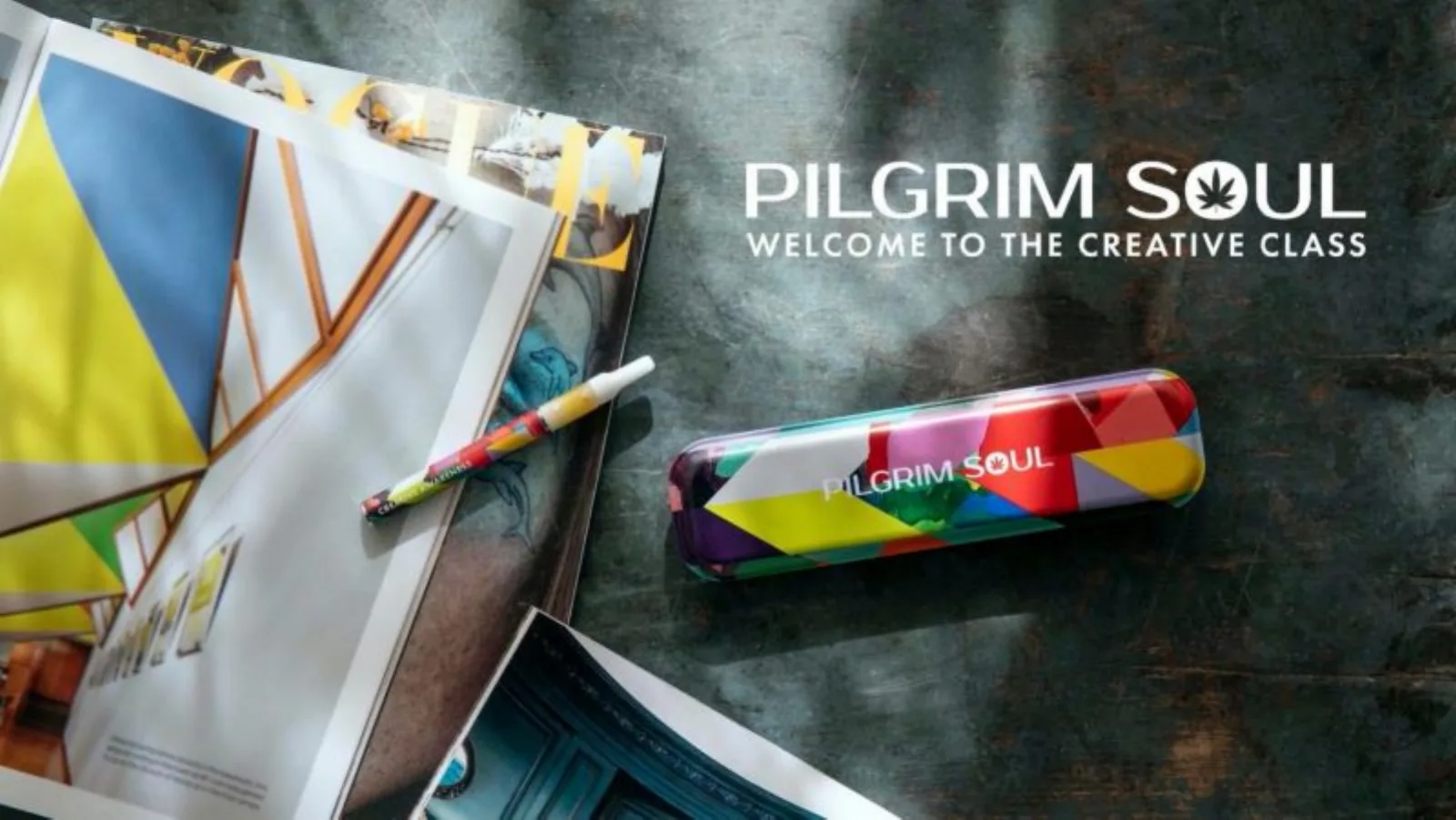 Pilgrim Soul pitch deck slide
