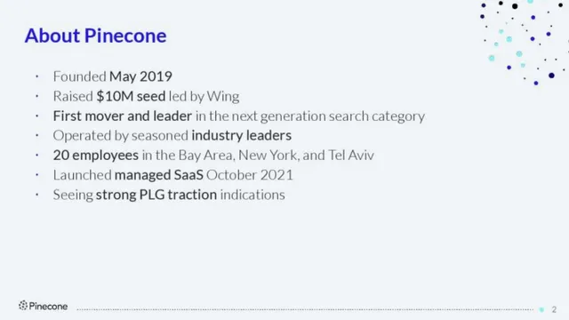 Company overview slide 2 from Pinecone