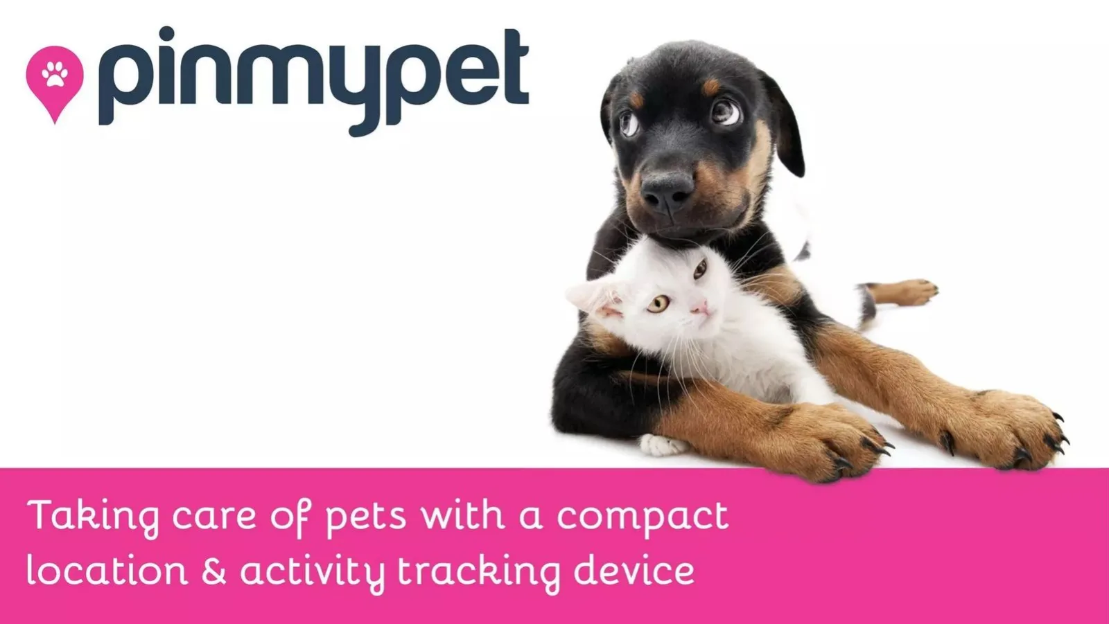 Pinmypet pitch deck slide