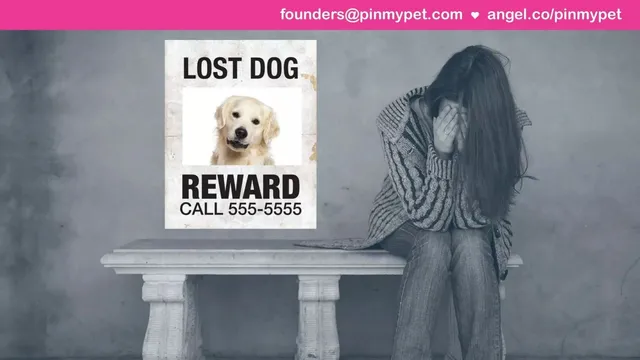Thank you slide 4 from Pinmypet