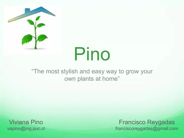 Pino pitch deck cover