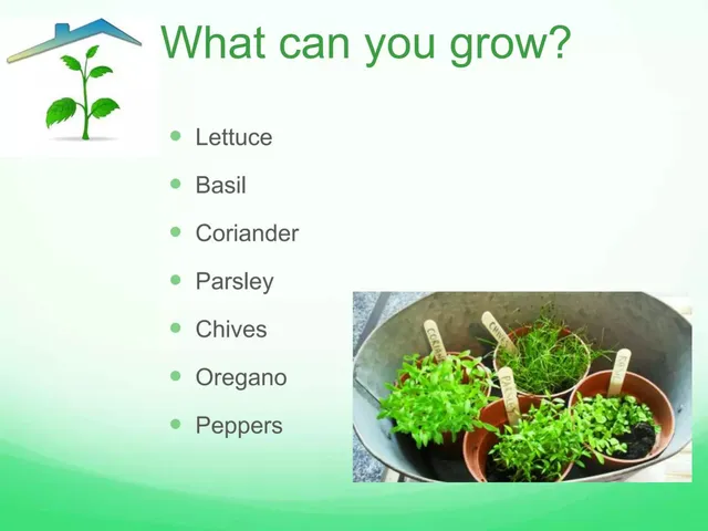 Product / solution slide 5 from Pino