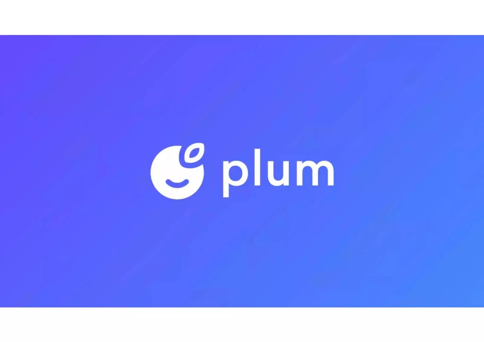 Plum pitch deck slide