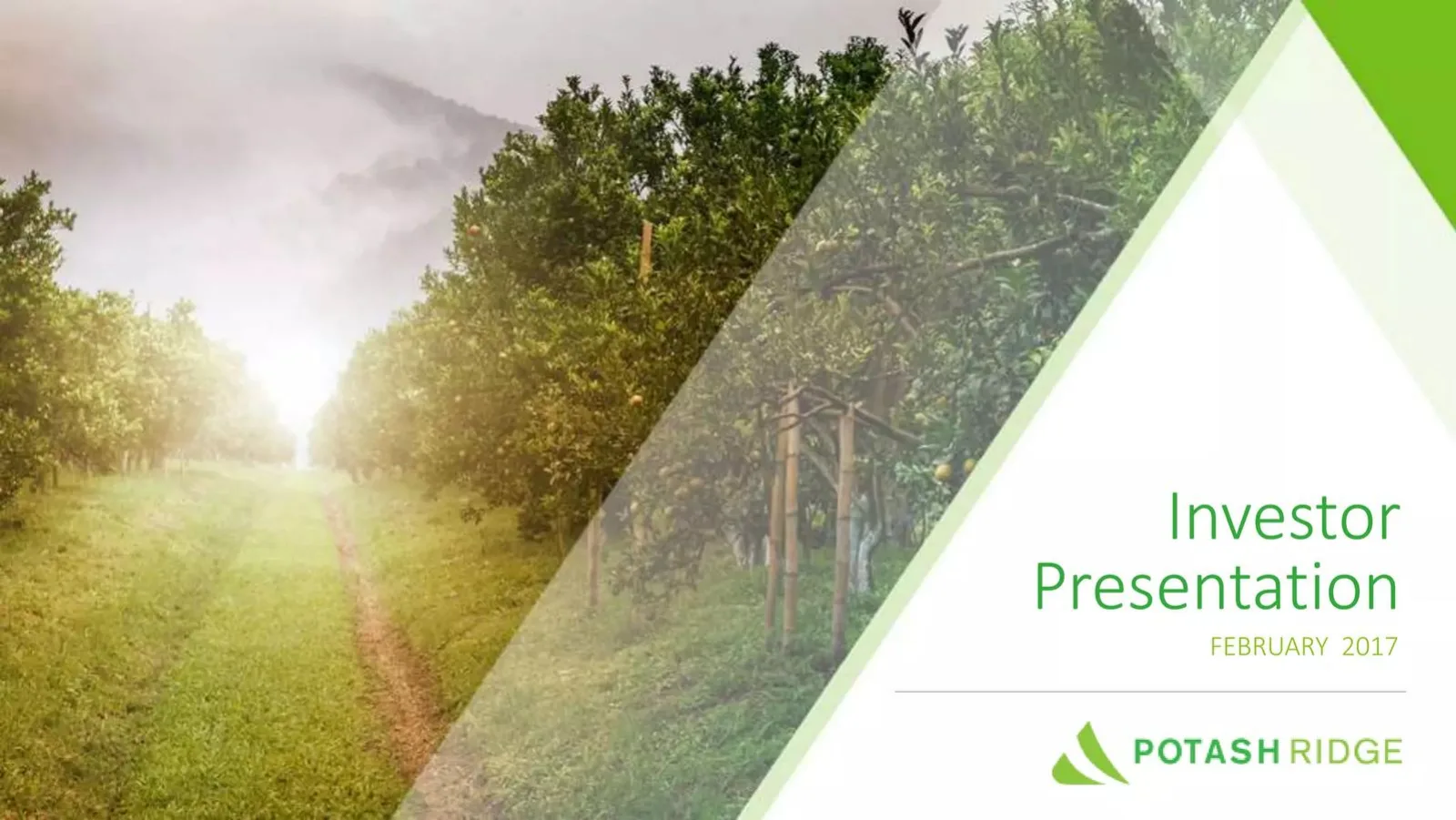 Potash Ridge pitch deck slide