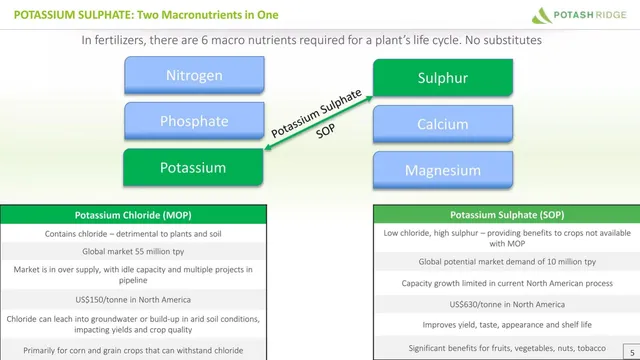 Market analysis / overview slide 5 from Potash Ridge