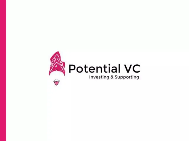 Potential VC pitch deck cover