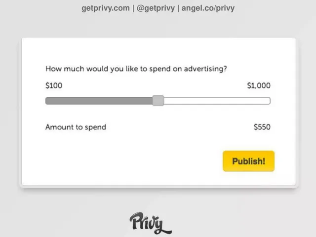 Go-to-market strategy slide 6 from Privy