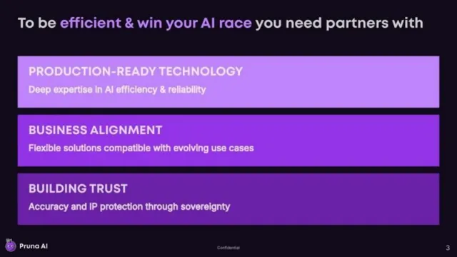 Product / solution slide 3 from Pruna AI