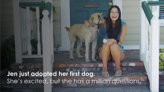 Problem slide 2 from Puptimize