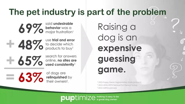 Problem slide 4 from Puptimize