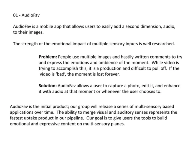 Product / solution slide 2 from AudioFav