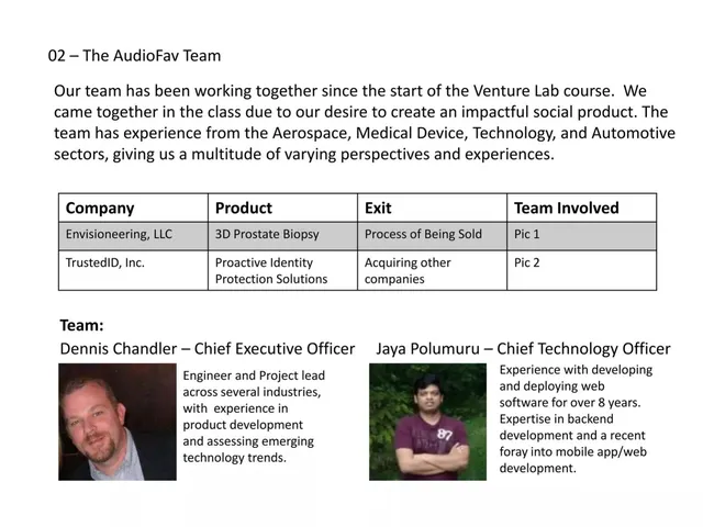 Team slide 3 from AudioFav