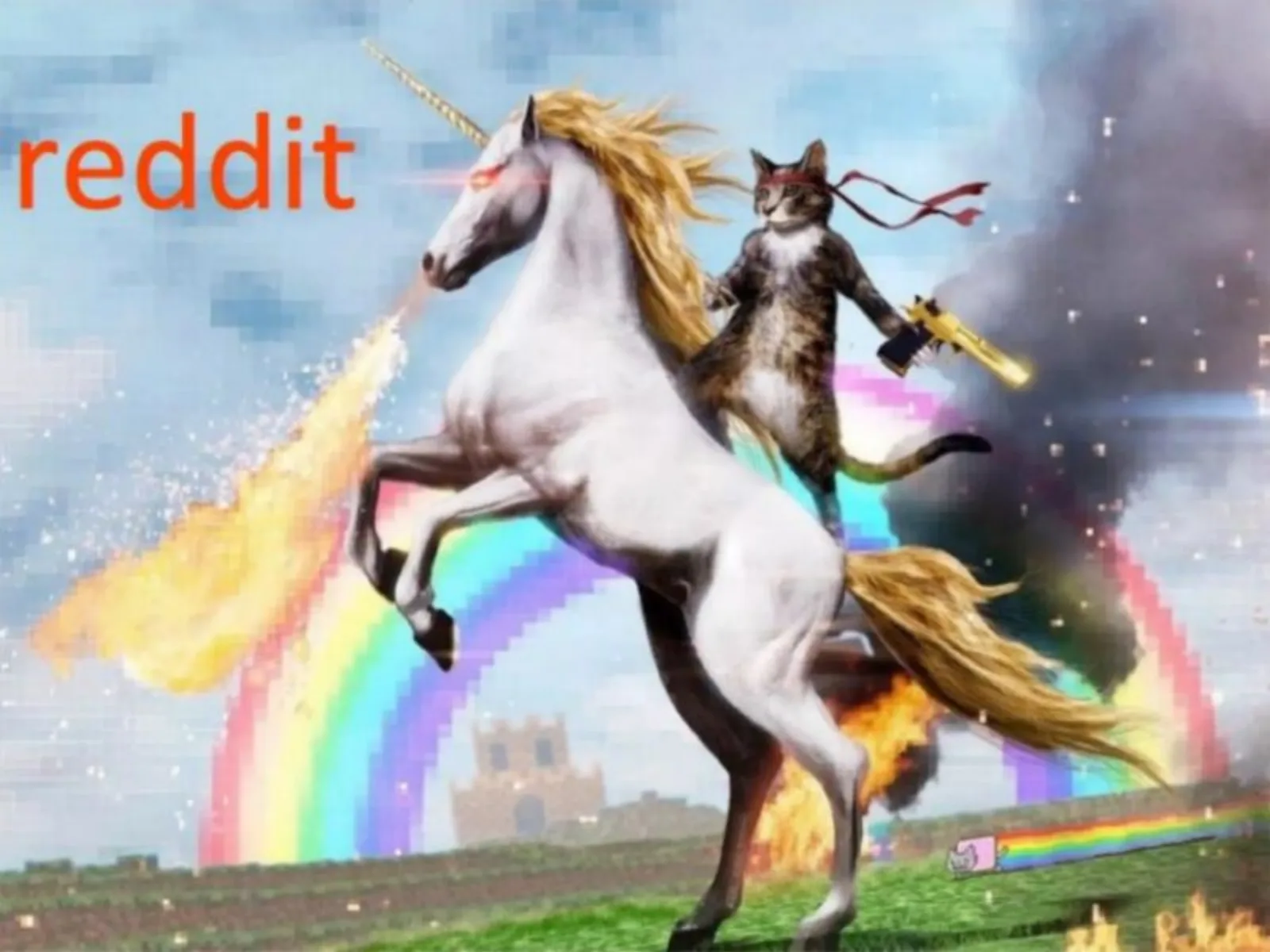Reddit pitch deck slide