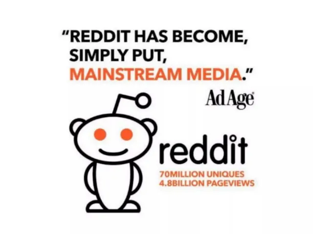 Market analysis / overview slide 3 from Reddit