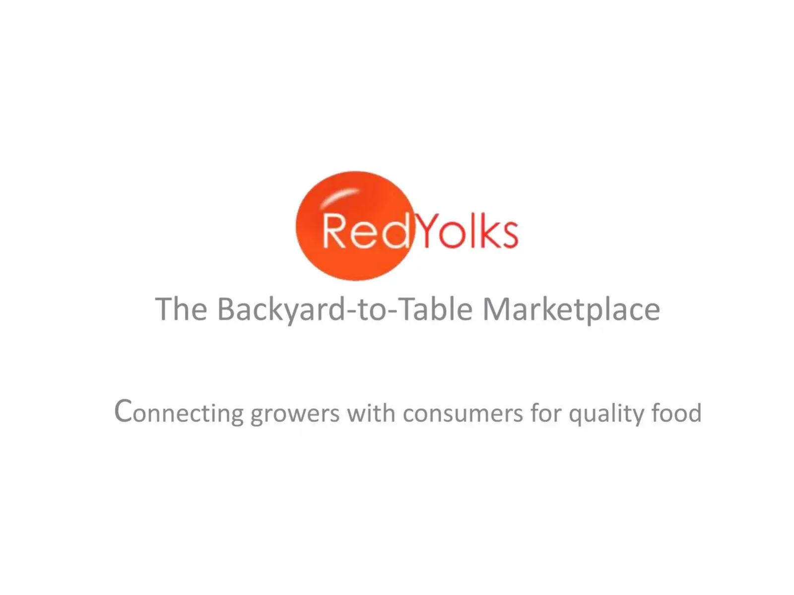 RedYolks pitch deck slide