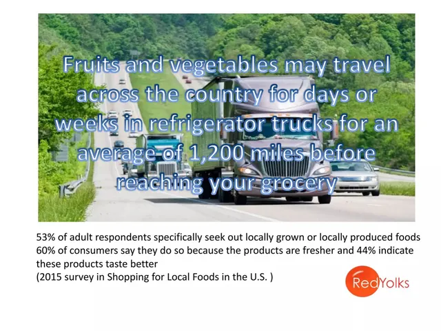Market analysis / overview slide 5 from RedYolks