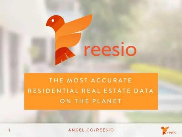 Reesio pitch deck cover