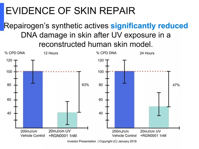Technology slide 5 from Repairogen