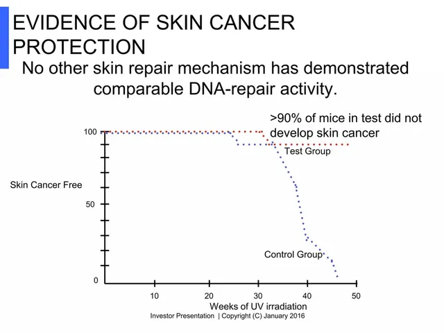 Technology slide 6 from Repairogen