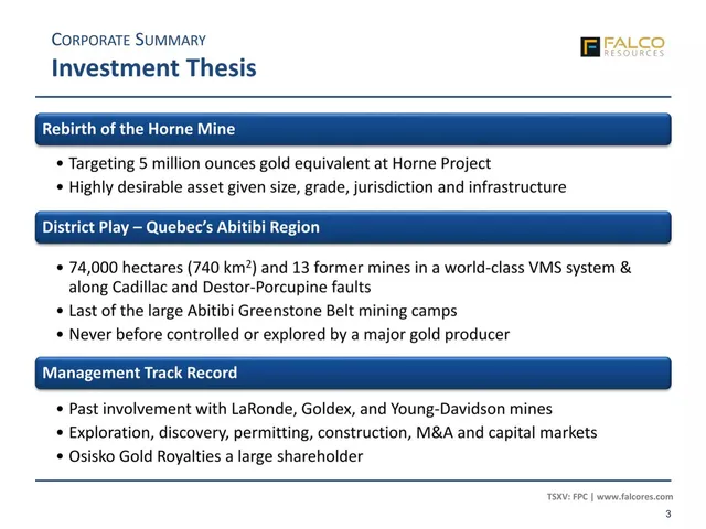 Company overview slide 3 from Falco Resources