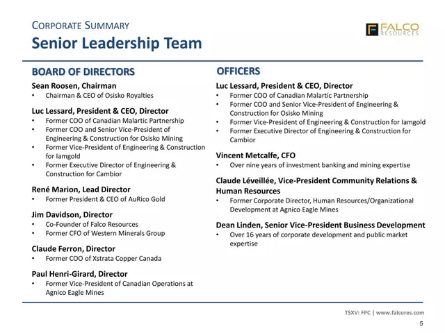 Team slide 5 from Falco Resources