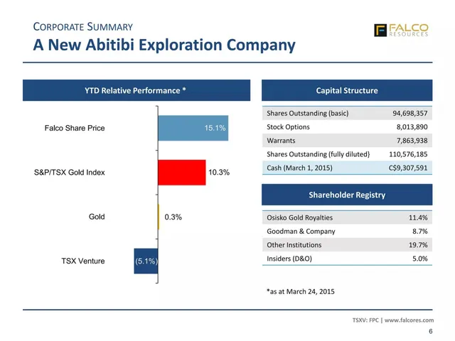 Company overview slide 6 from Falco Resources