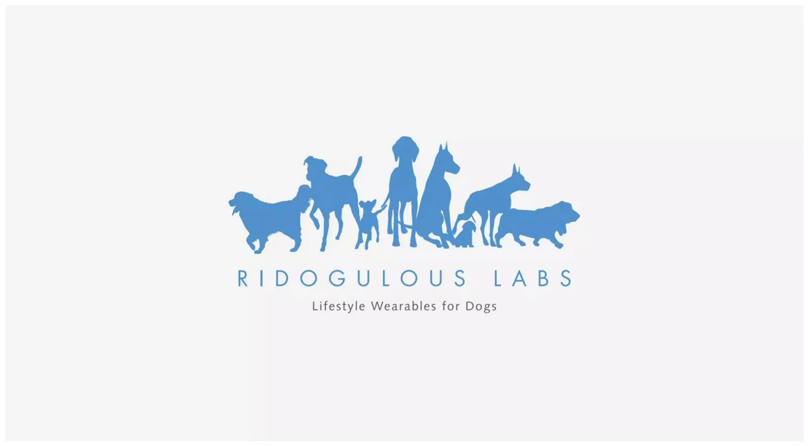 Ridogulous Labs pitch deck slide