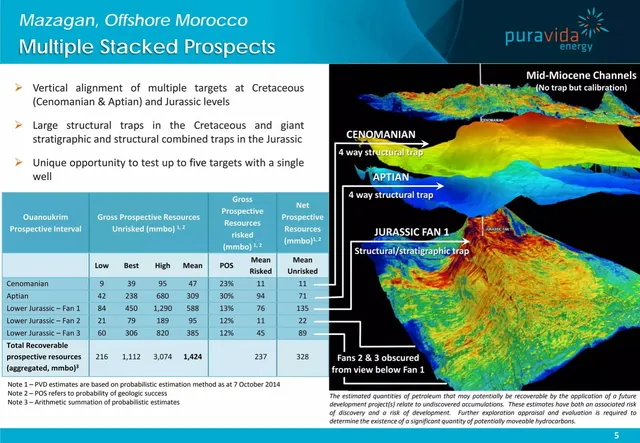 Market sizing / opportunity slide 5 from Pura Vida Energy