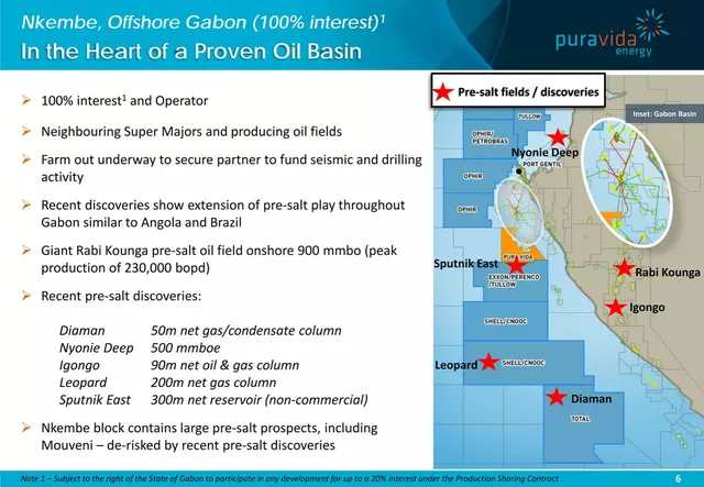 Market analysis / overview slide 6 from Pura Vida Energy