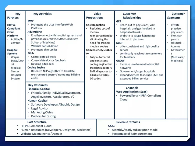 Business model / revenue streams slide 6 from Rubix Health Columbia 015