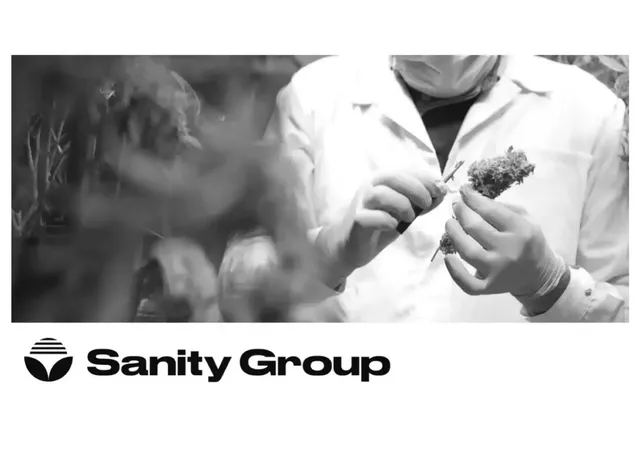 Sanity Group pitch deck cover