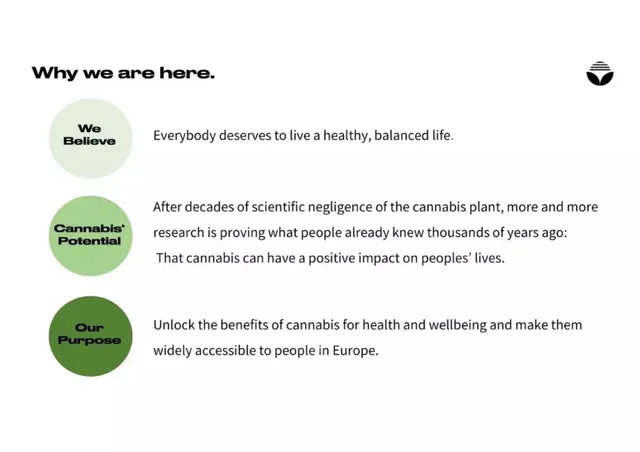 Vision slide 3 from Sanity Group