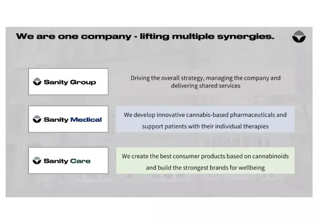 Company overview slide 4 from Sanity Group
