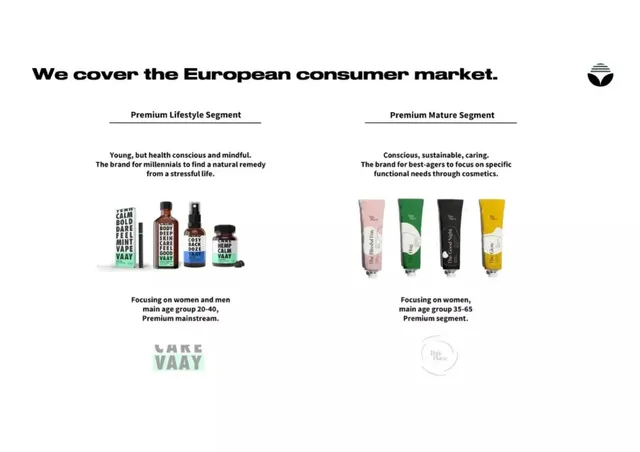 Market analysis / overview slide 7 from Sanity Group