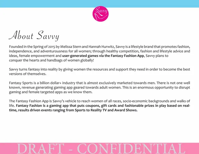 Company overview slide 2 from Savvy