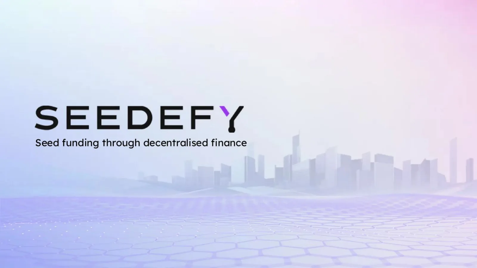 Seedefy Pte. Ltd. pitch deck slide