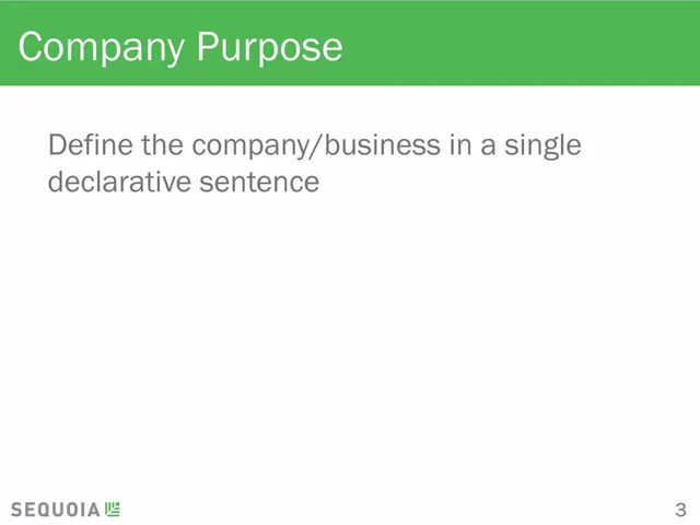 Company overview slide 3 from Sequoia Capital (Template)
