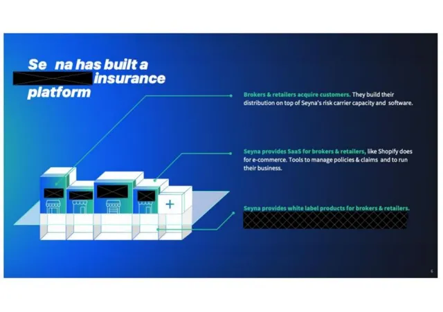 Product / solution slide 2 from Seyna