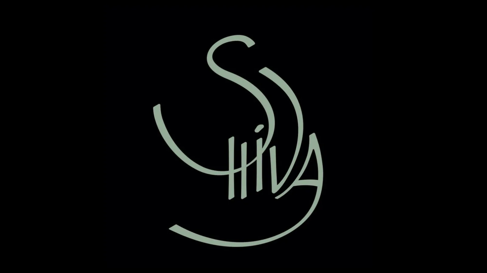 Shiva pitch deck slide