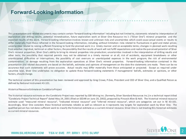 Disclaimer slide 2 from Silver One Resources